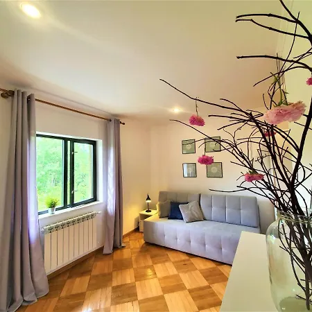 Apartamenty Pod Holica Ustrzyki Dolne Exterior photo